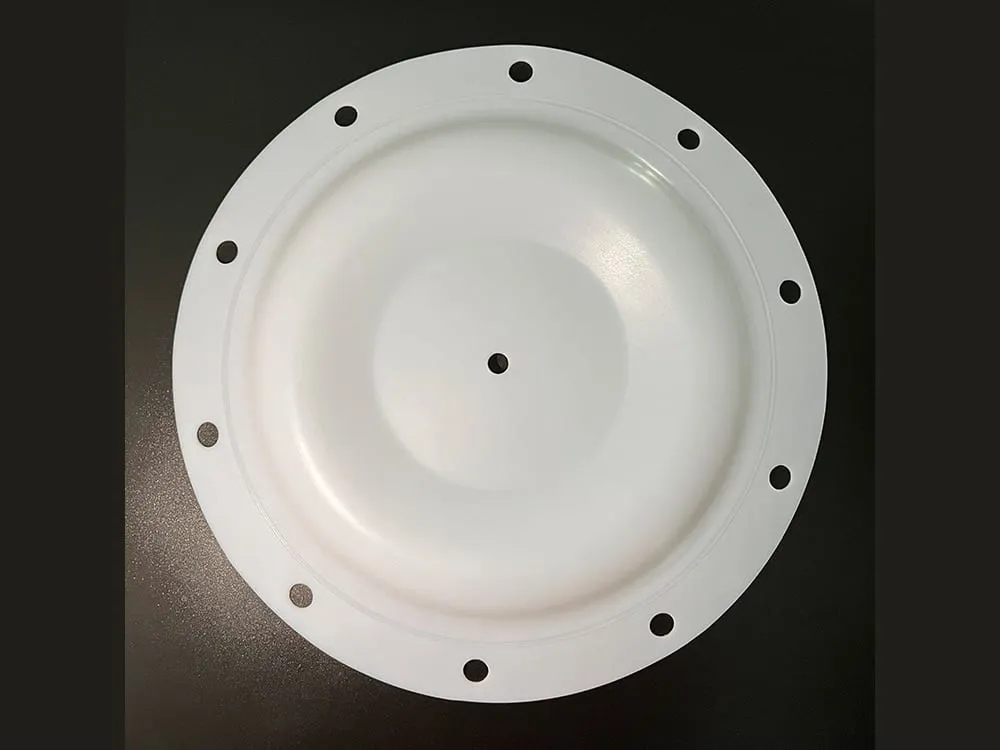 Màng bơm: Màng bơm PTFE trắng tròn có hàng lỗ bắt bu lông