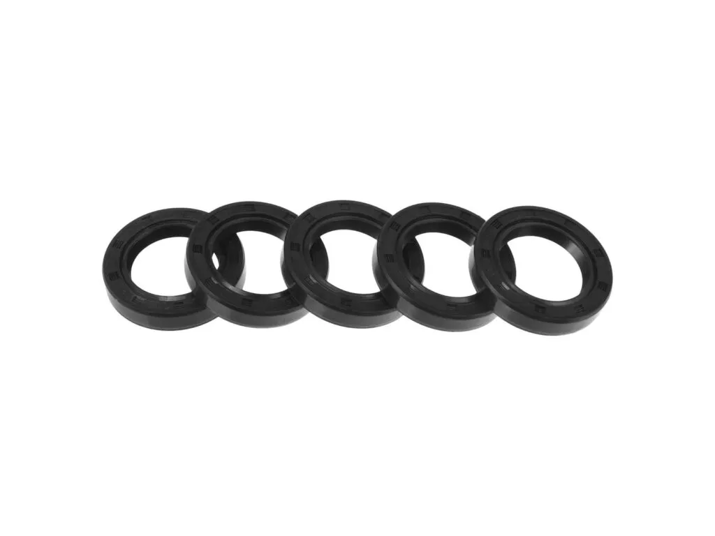 Phớt chắn dầu kiểu SKF HMSA10 RG: Năm phớt chắn dầu đen dày lỗ nhỏ xếp thành hàng ngang trên nền trắng
