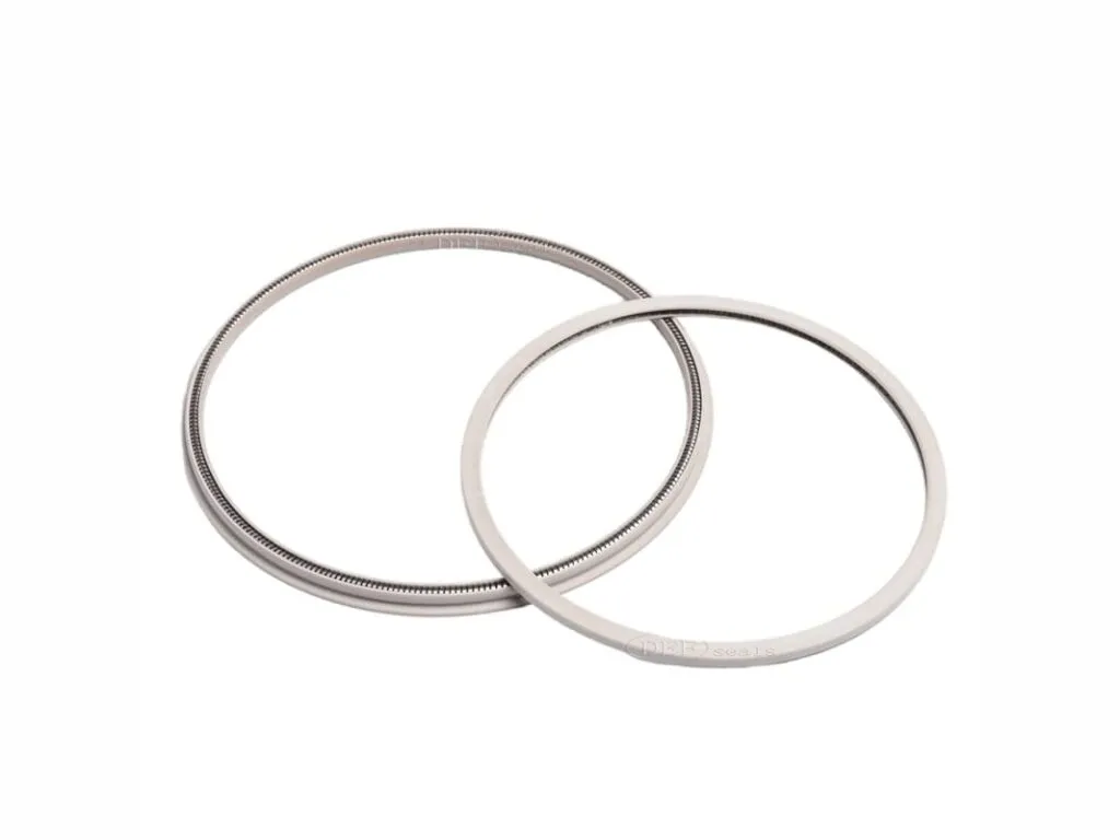 Phớt PTFE: Hai phớt PTFE lò xo mảnh xếp chéo trên nền trắng